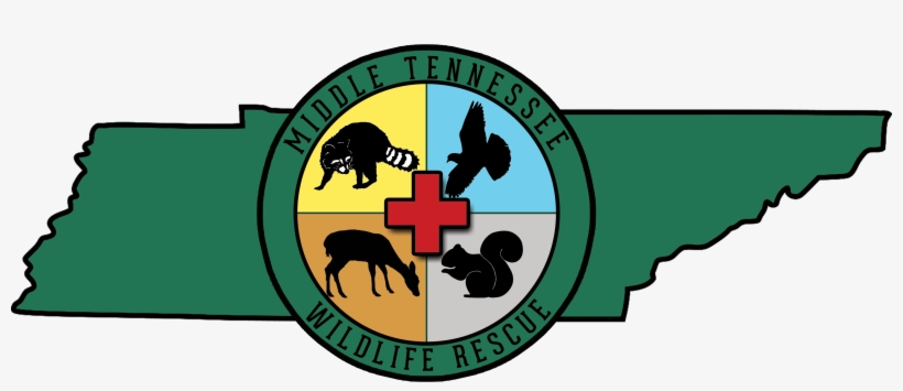 Mtwr 1 Year Ago - Ender's Game, transparent png #2664045