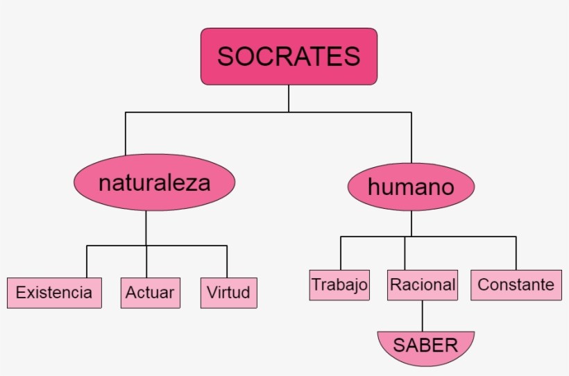 Untitled Socrates Naturaleza Humano Existencia Virtud - Diagram, transparent png #2665345