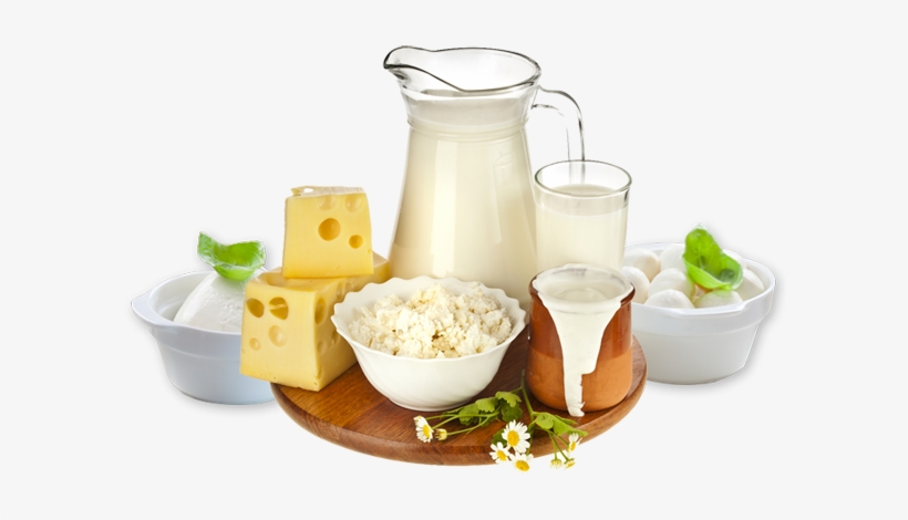 Products Manufactures, Exporters And Suppliers Of Dairy - Milk And Dairy Products Png, transparent png #2666779