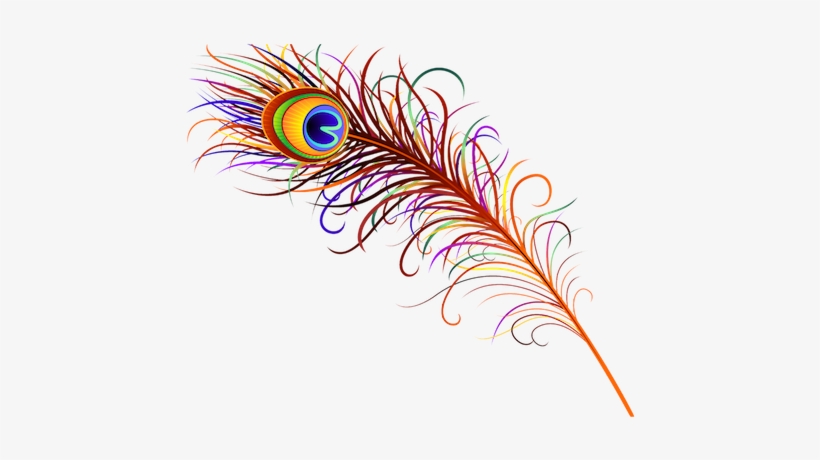 Redd Design Peacock Feather - Peacock Feather Logo Png, transparent png #2667338