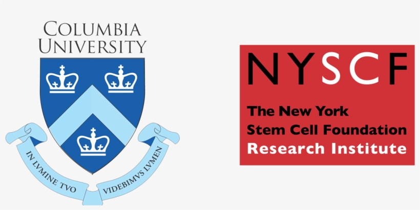 2018 Summer Research Program Application Cover Letter - Columbia University Teachers College Logo, transparent png #2668240