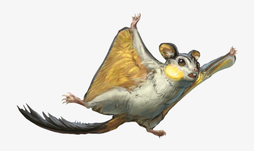 Emolga Arvalis - Arvalis Pokemon Clipart, transparent png #2668759