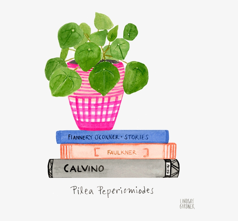 "pilea Peperiodmiodes" Watercolor Painting By Lindsay - Watercolor Painting, transparent png #2669777