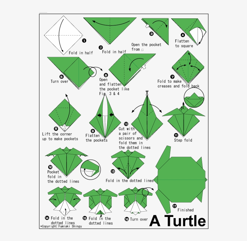 Turtle Easy Origami Instructions Printable Free Transparent PNG