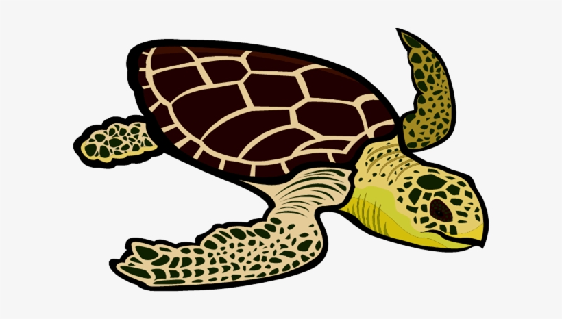 Cute Sea Turtle Clip Art - Green Sea Turtle Clipart, transparent png #2670570