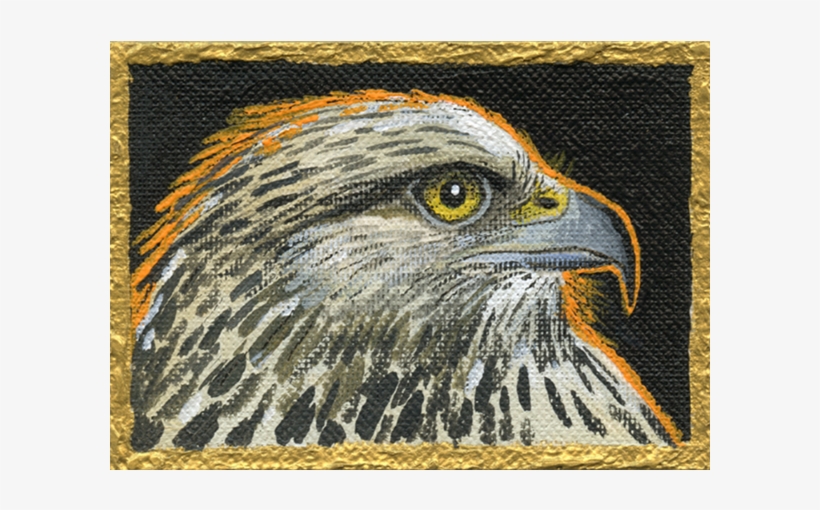 An Orange Backlit Halo Surrounds This Hawk Head As - Golden Eagle, transparent png #2672457