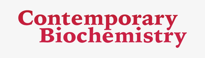 Michael Rosen - Sebring International Raceway, transparent png #2672743