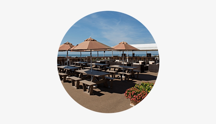 Circle Harry's Rooftop - Harry's Ocean Bar & Grille, transparent png #2673505