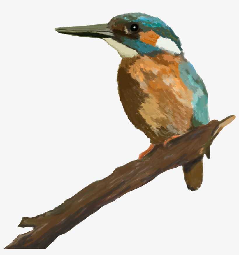 Blauet Disseny 2 Unnamed - Design, transparent png #2673689