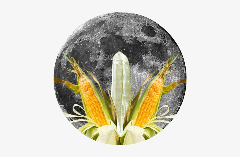 The Farmer's Almenac Explains Why This Moon Is Both - Super Moon Nov 2016, transparent png #2676673
