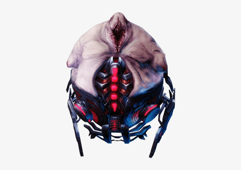 Bloat - Skull, transparent png #2677338