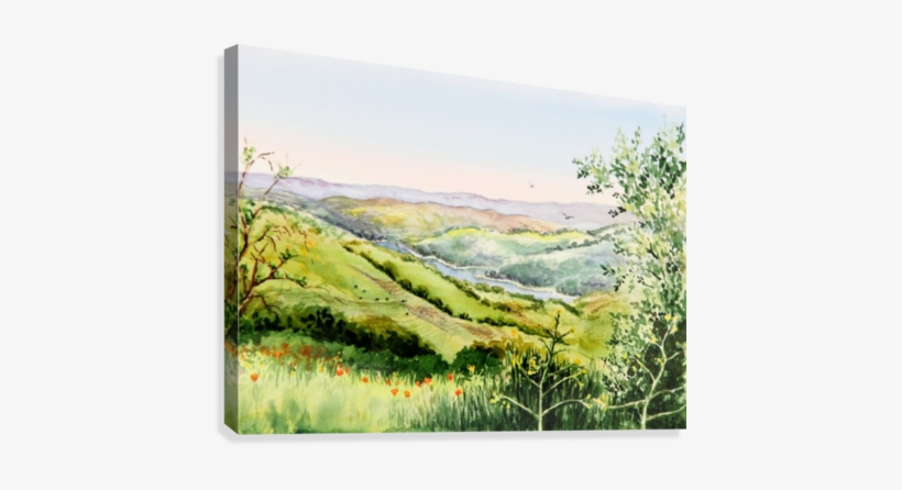 Summer Landscape Inspiration Point Orinda California, transparent png #2677604
