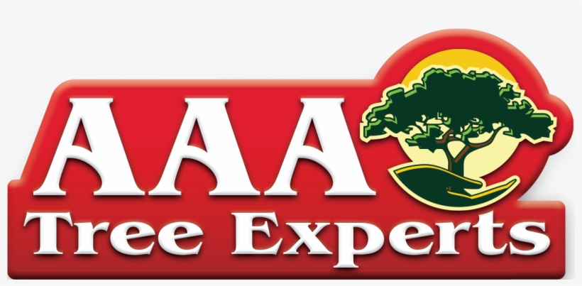 Aaa Tree Experts Logo - Aaa Tree Experts, transparent png #2677752