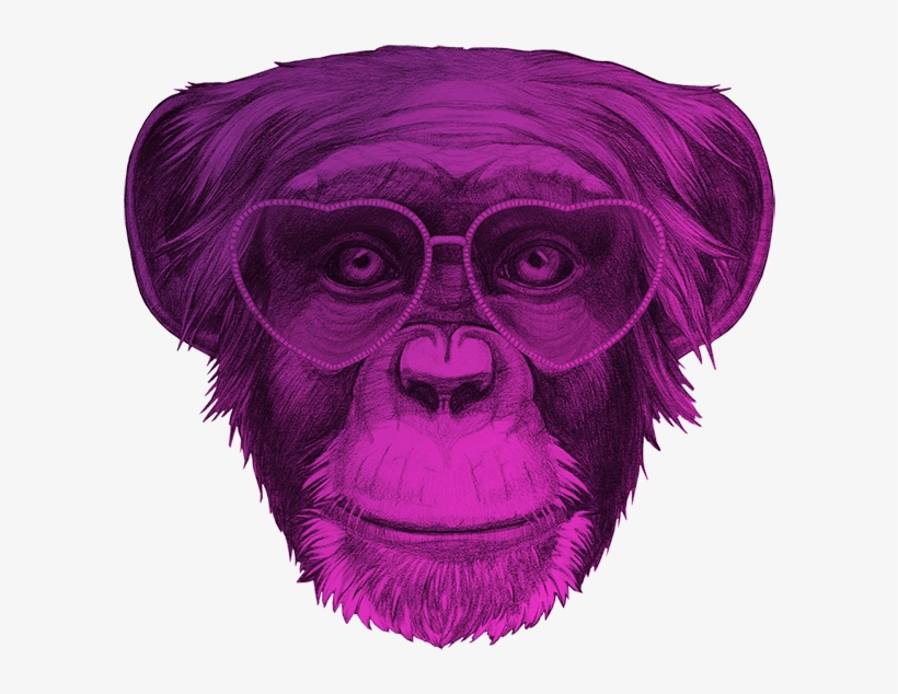 Ape Thinker's Clients Background - Art Print: Victoria Novak's Original Drawing Of Monkey., transparent png #2678074