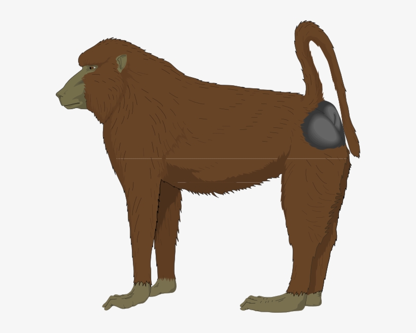 Blue Bottomed Ape Svg Clip Arts 600 X 576 Px, transparent png #2678298