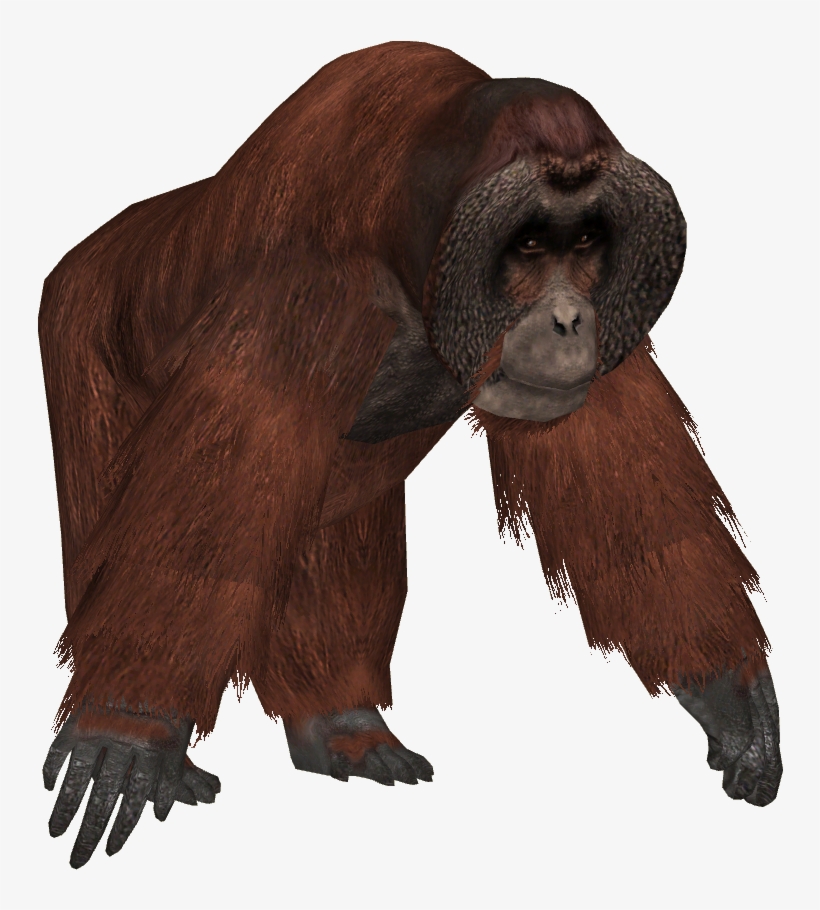 Ape Clipart Transparent Background - Zoo Tycoon Orangutan, transparent png #2678484