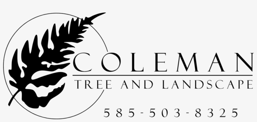 Coleman Logo Hi Res-1, transparent png #2678566