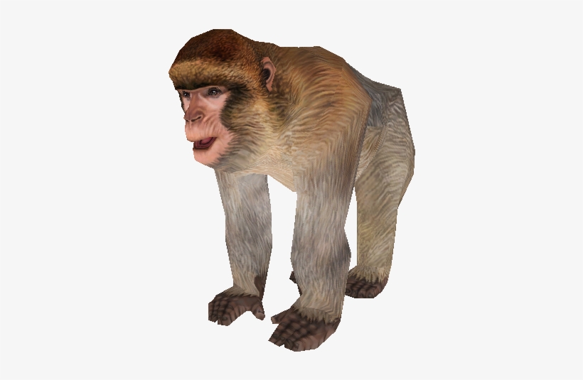 Download Zip Archive - Zoo Tycoon 2 Barbary Ape, transparent png #2678759