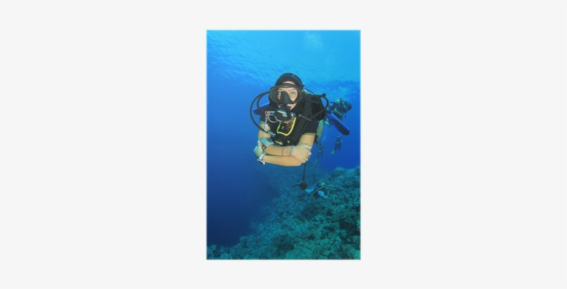 Scuba Diving, transparent png #2678861