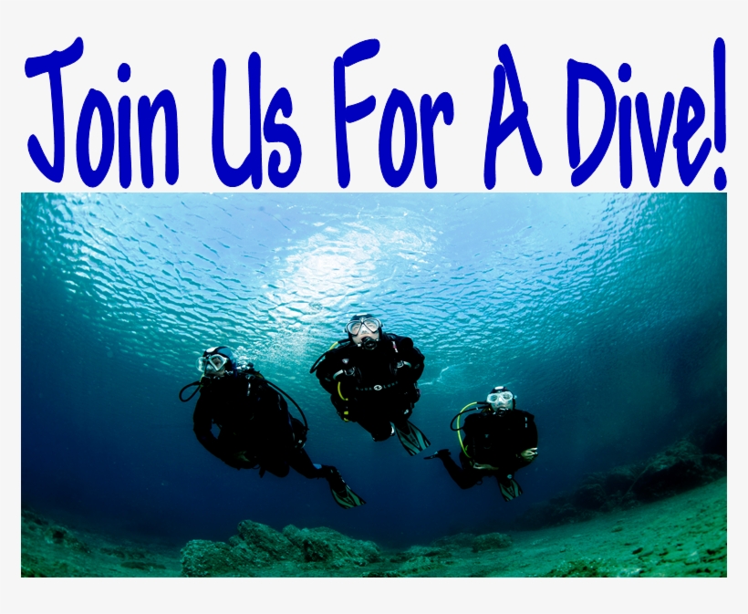 Join Us For A Dive - Scuba Diving, transparent png #2678936