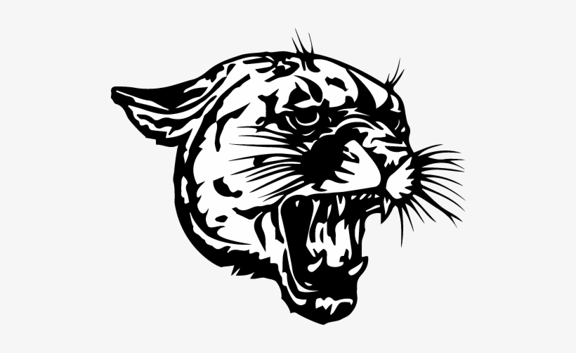 Coleman School District - Coleman Cougars, transparent png #2679828