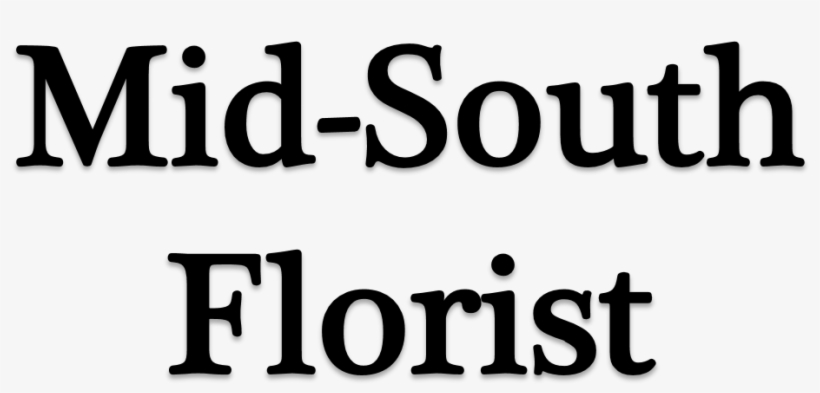M#south Florist - Baptist Health South Florida Logo Png, transparent png #2681177