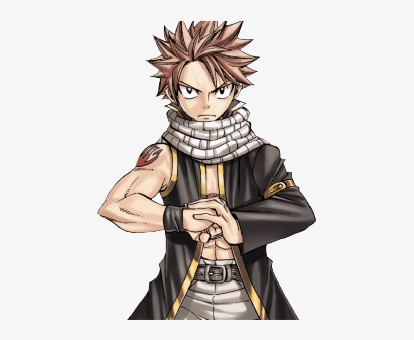 Fairy Tail Carta Natsu, transparent png #2682096
