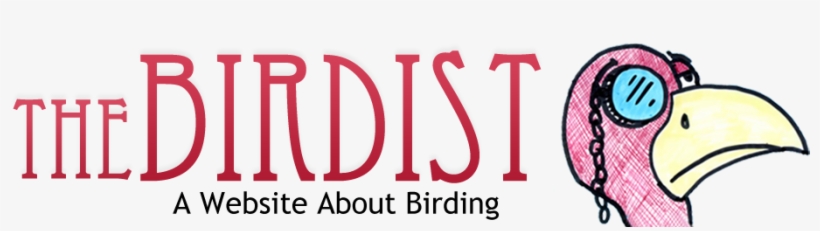 The Birdist - Birds On My Porch, transparent png #2682139
