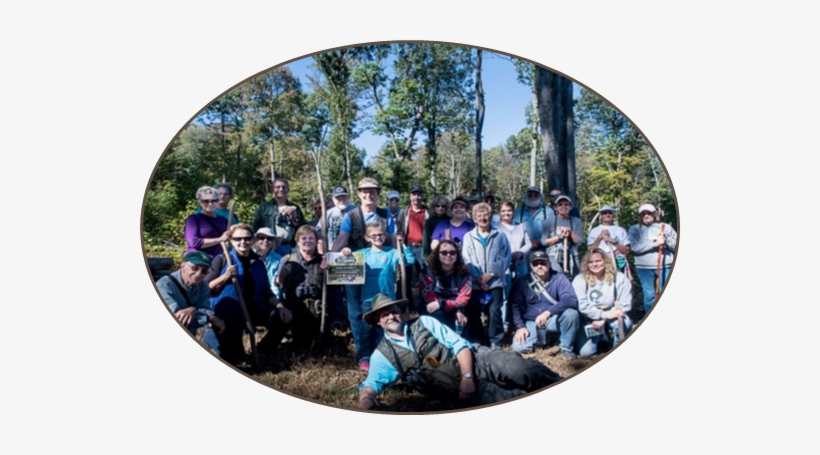 Walk, Roll, And Explore The Woods Near You In Every - Social Group, transparent png #2682779