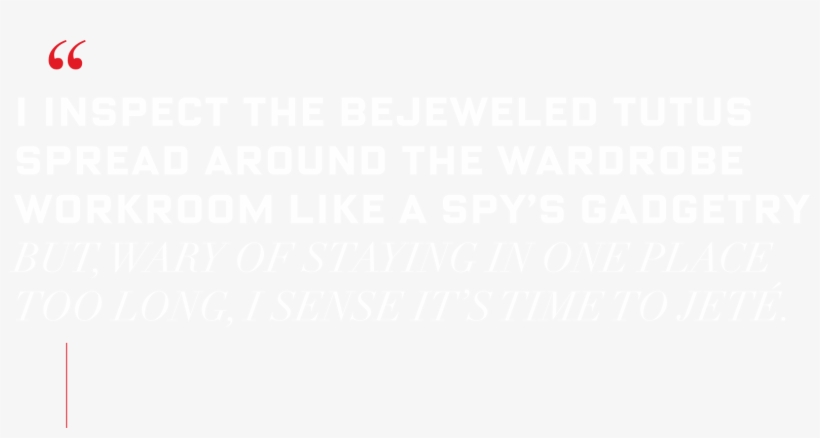 I Inspect The Bejeweled Tutus Spread Around The Wardrobe - Printing, transparent png #2682912