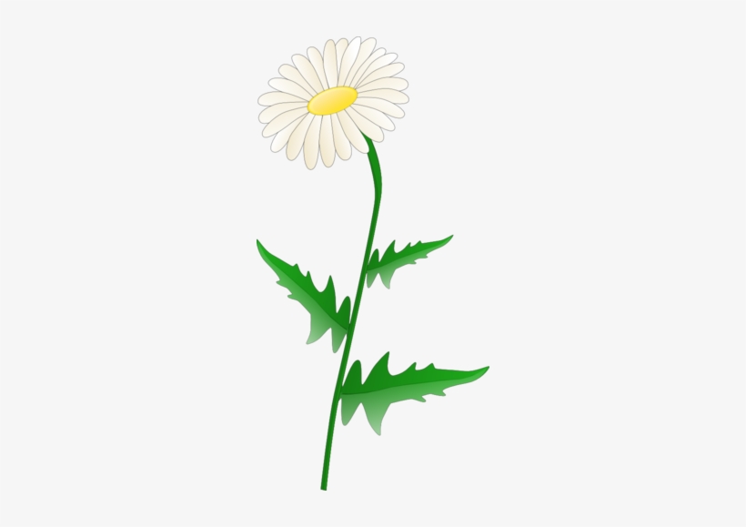 Daisies Clipart Public Domain - Daisy Clipart, transparent png #2683553