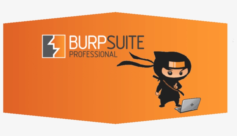 Burp Suite Pro Cracked - Burp Suite, transparent png #2684275