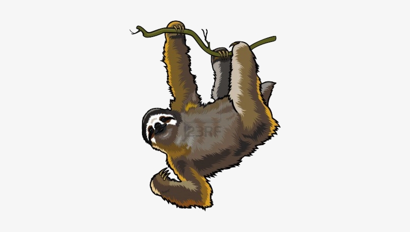 Dylan Obrien Transparent Tumblr Tumblr/transparent - Cartoon Sloth No Background, transparent png #2684887