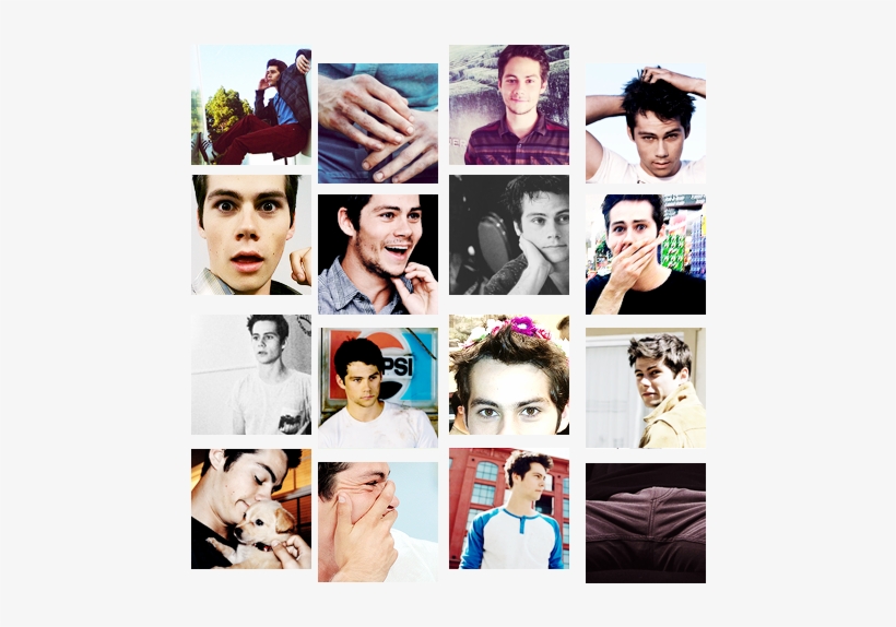 Dylan O'brien I Don't Even Know What This Is Twedit - Collage, transparent png #2684902