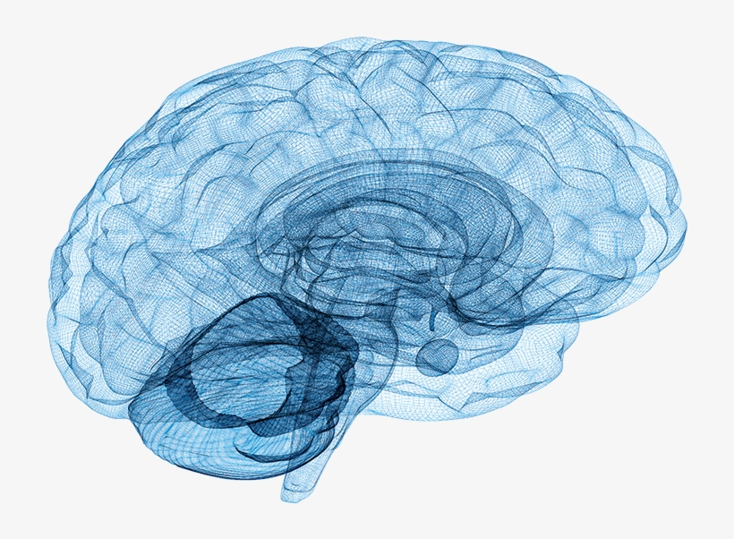 Our Approach - Neurologia De Bolsillo By M. Brandon Westover, transparent png #2685238