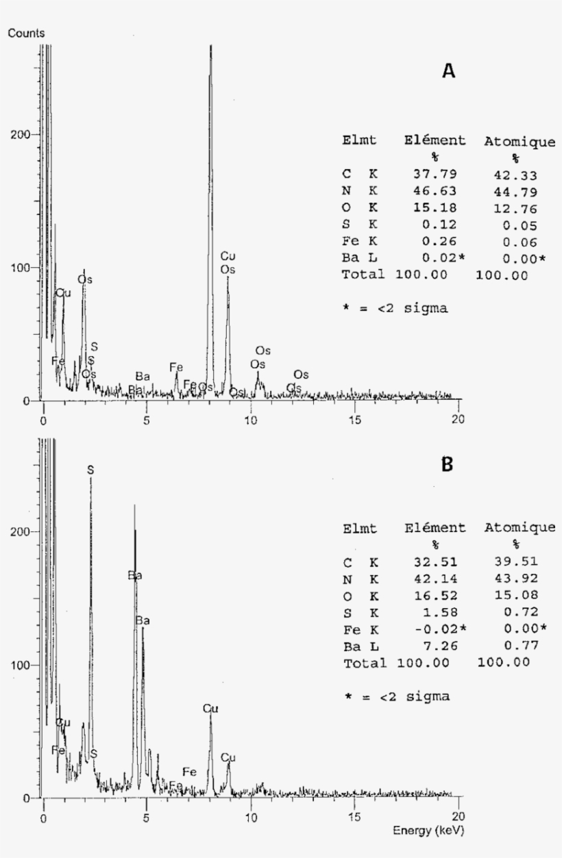 A, B Lucina Pectinata - Diagram, transparent png #2686075