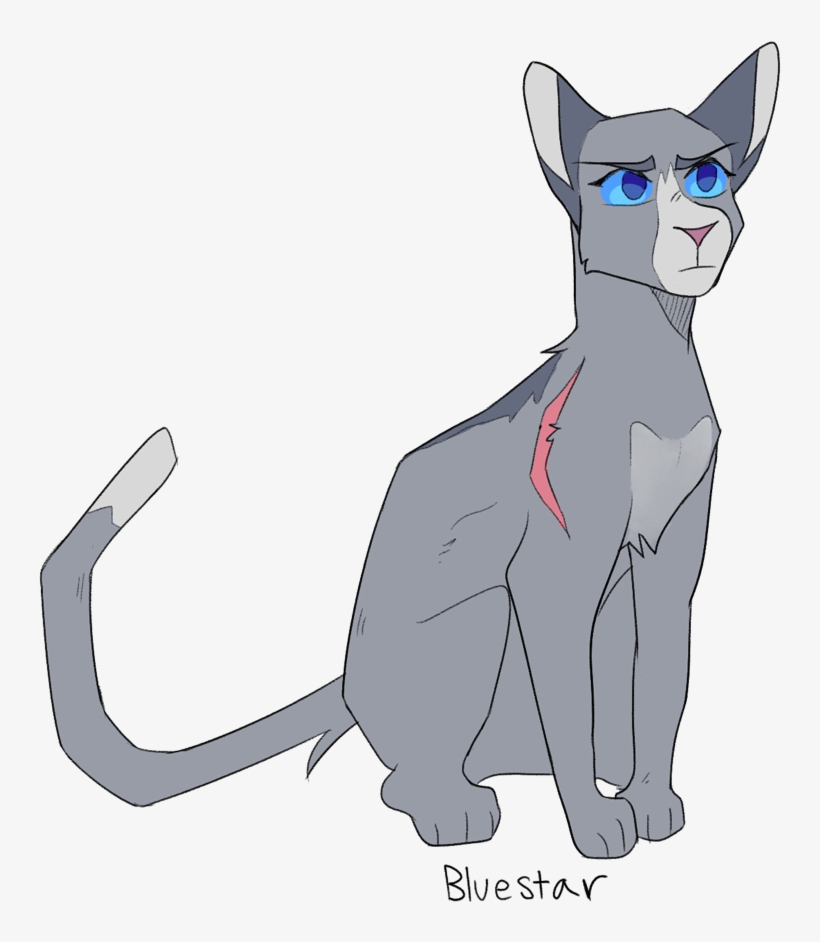 Cat Yawns, transparent png #2686490