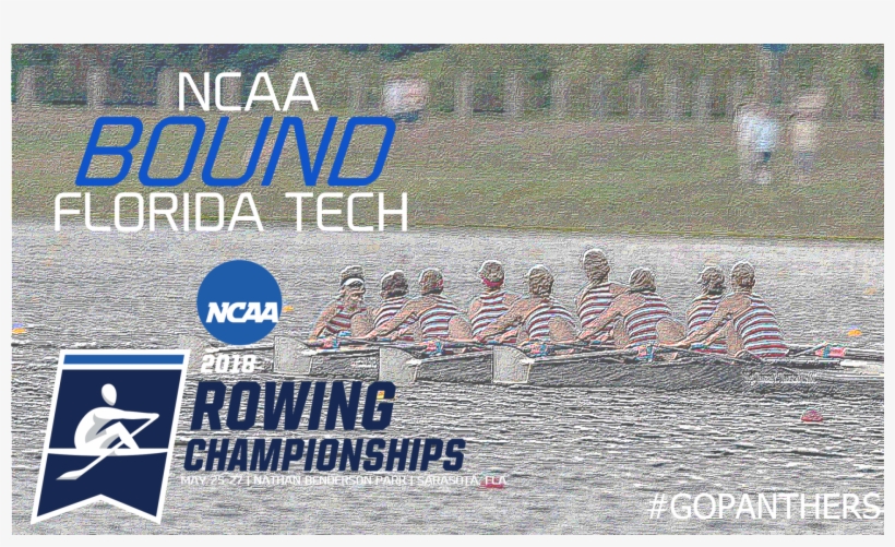 Ncaa, transparent png #2686861