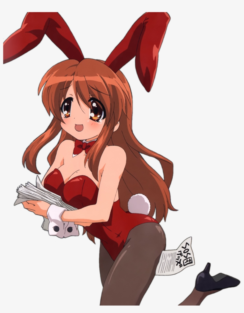 View Samegoogleiqdbsaucenao Bunnymikuru , - Mikuru Bunny Girl, transparent png #2688225