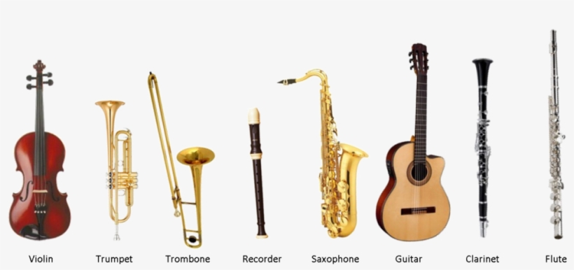 We Offer Instrumental Tuition For The Following Musical - Instrumental Music Instruments Names, transparent png #2689501