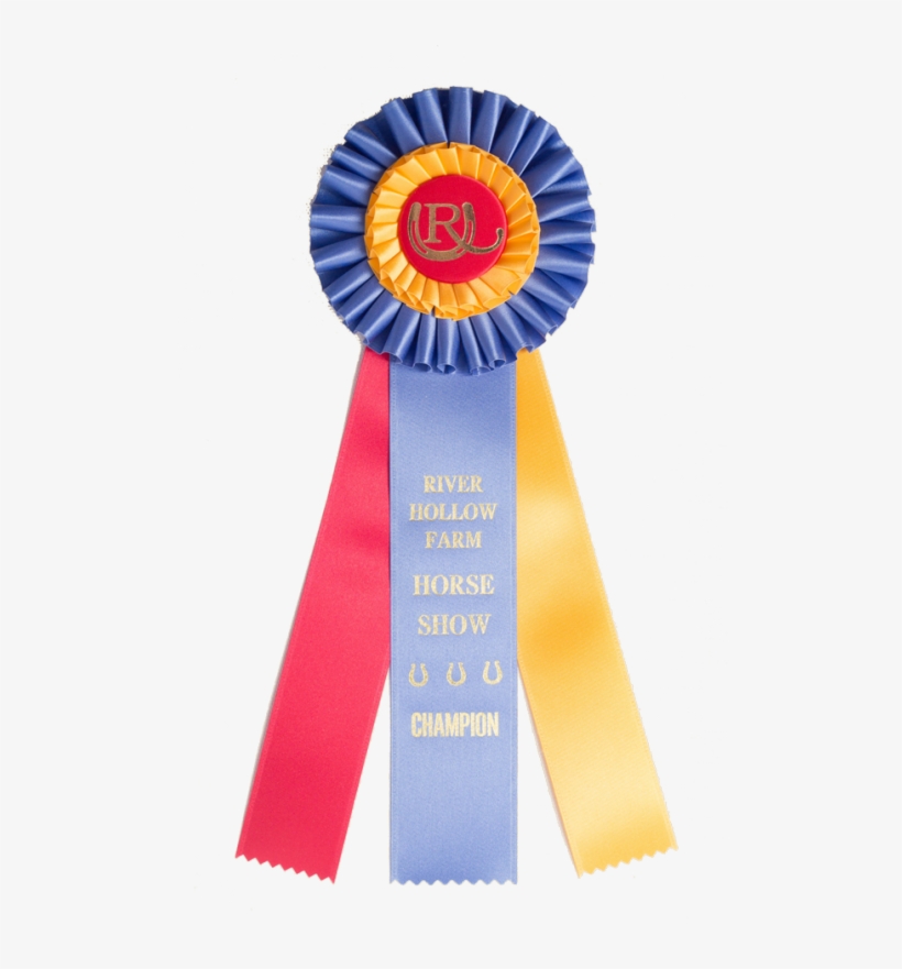 300 Custom Award Rosetterosettesrs 300 936 - Custom Rosette Award Ribbon, transparent png #2689778