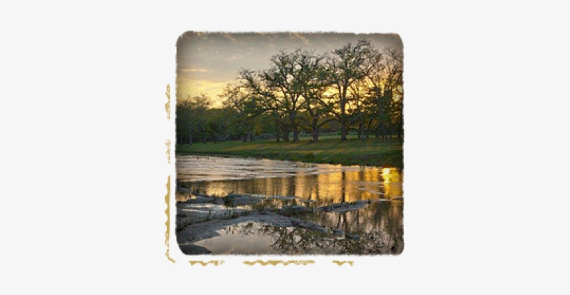 Wedding Venues Near San Antonio - Texas, transparent png #2690211