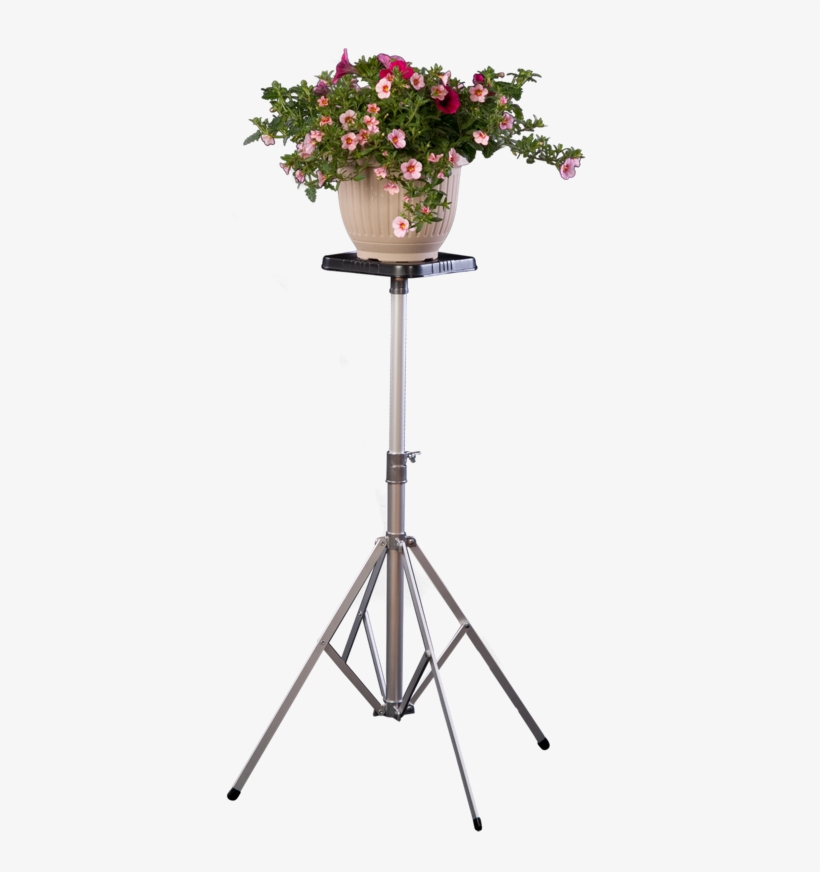 Short, Deluxe Stand Featuring Flower Arrangement - Bouquet, transparent png #2690464