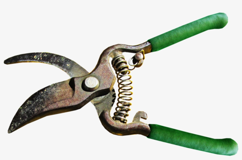 The Set Of Tools Needed To Achieve A Goal Is "equipment" - Orchard, transparent png #2690567