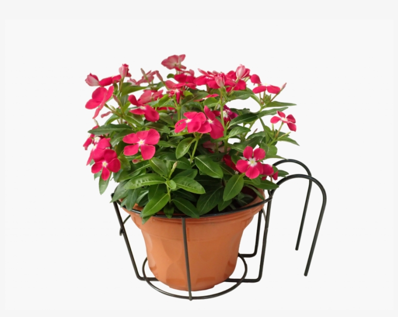 Hanging Flower Pot Holder Round - Flowerpot, transparent png #2690720