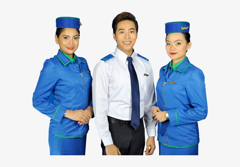 Schedule Your Free Information Session - Flight Attendant, transparent png #2690910