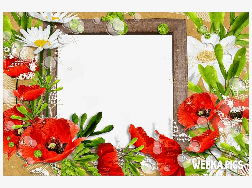 Flower Photo Frame Picture - Picture Frame, transparent png #2691073