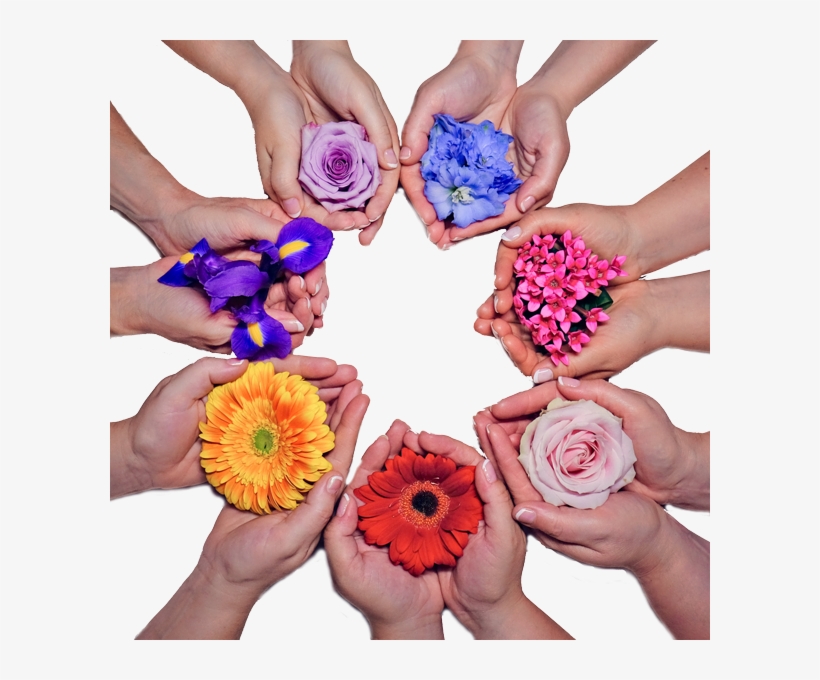 The Flowers In Our Logo Symbolise Who We Are, What - York, transparent png #2691124