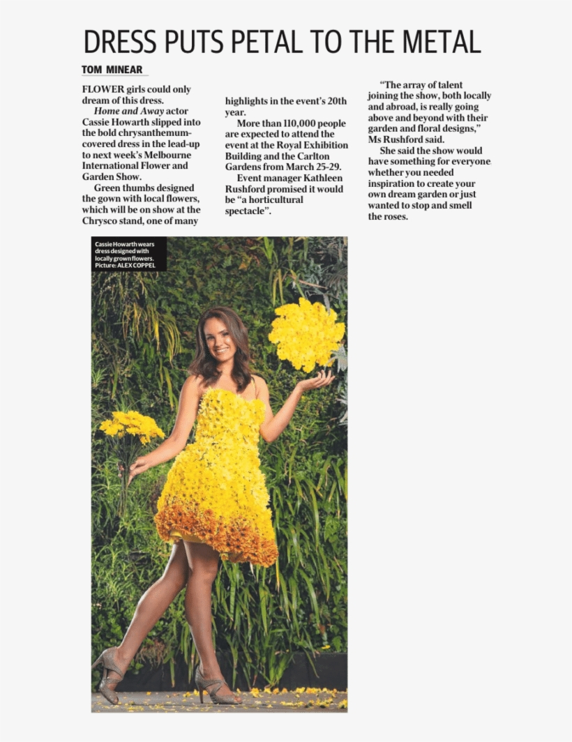 We Are Celebrating Chrysco's 30 Year Anniversary This - Chrysco Flowers, transparent png #2691143