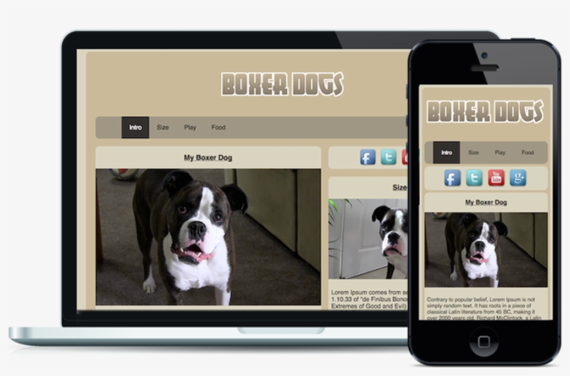 Boxer Dogs Responsive - Dog, transparent png #2691397